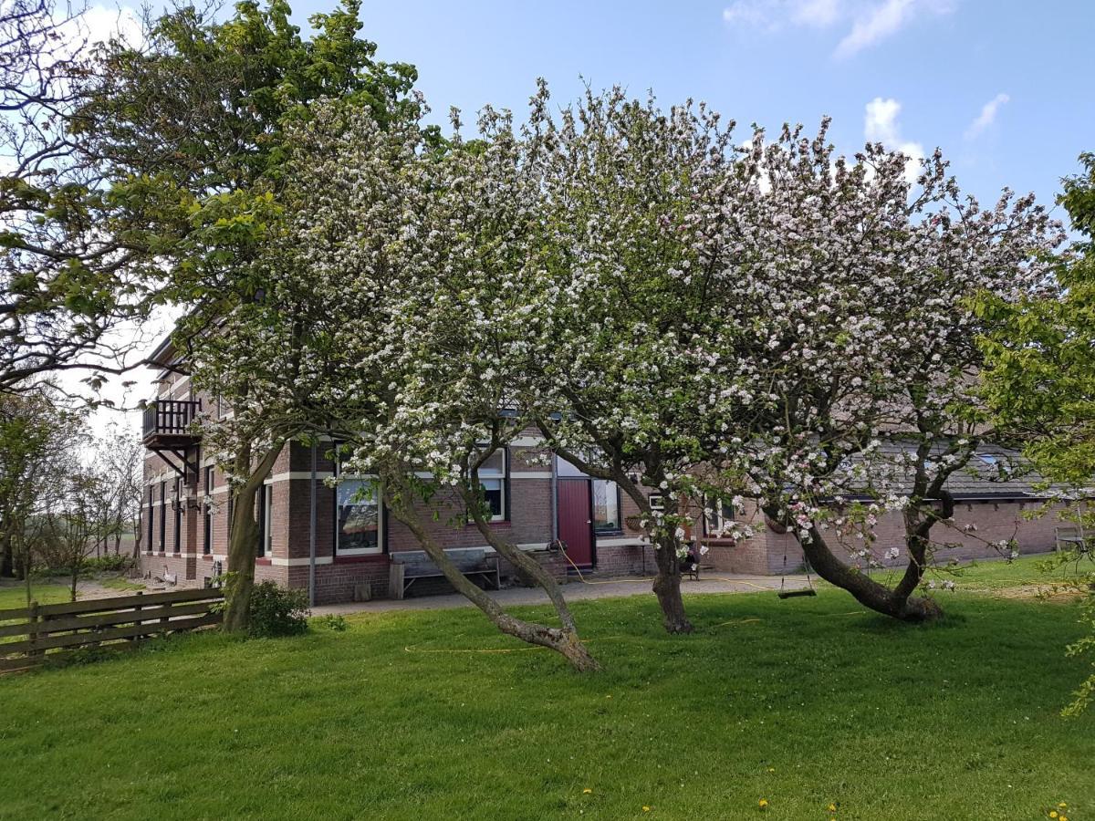Hunsingo Texel Bed & Breakfast De Cocksdorp  Dış mekan fotoğraf