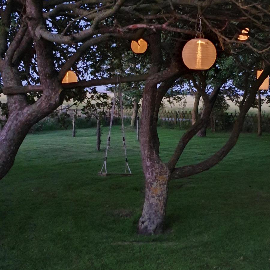 Hunsingo Texel Bed & Breakfast De Cocksdorp  Dış mekan fotoğraf